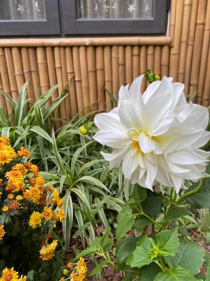 Trang An Moon Garden Homestay نينه بينه المظهر الخارجي الصورة