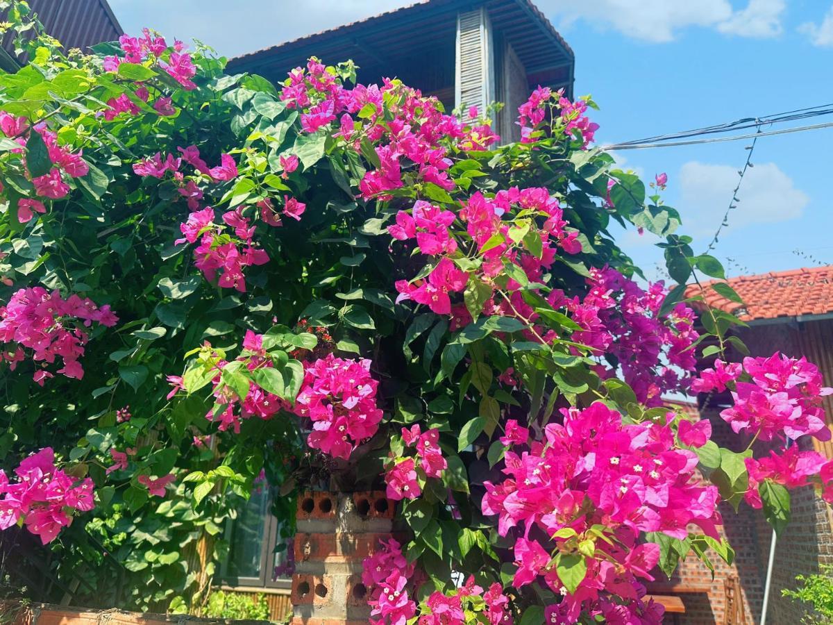Trang An Moon Garden Homestay نينه بينه المظهر الخارجي الصورة