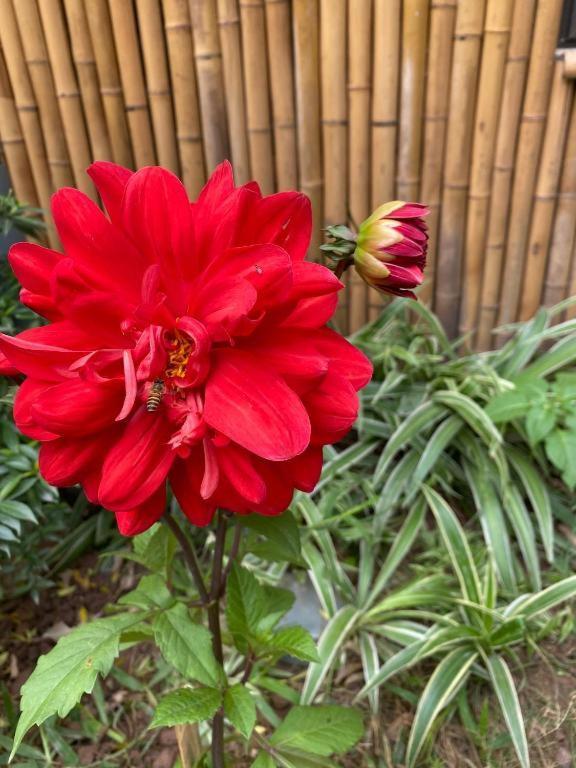 Trang An Moon Garden Homestay نينه بينه المظهر الخارجي الصورة