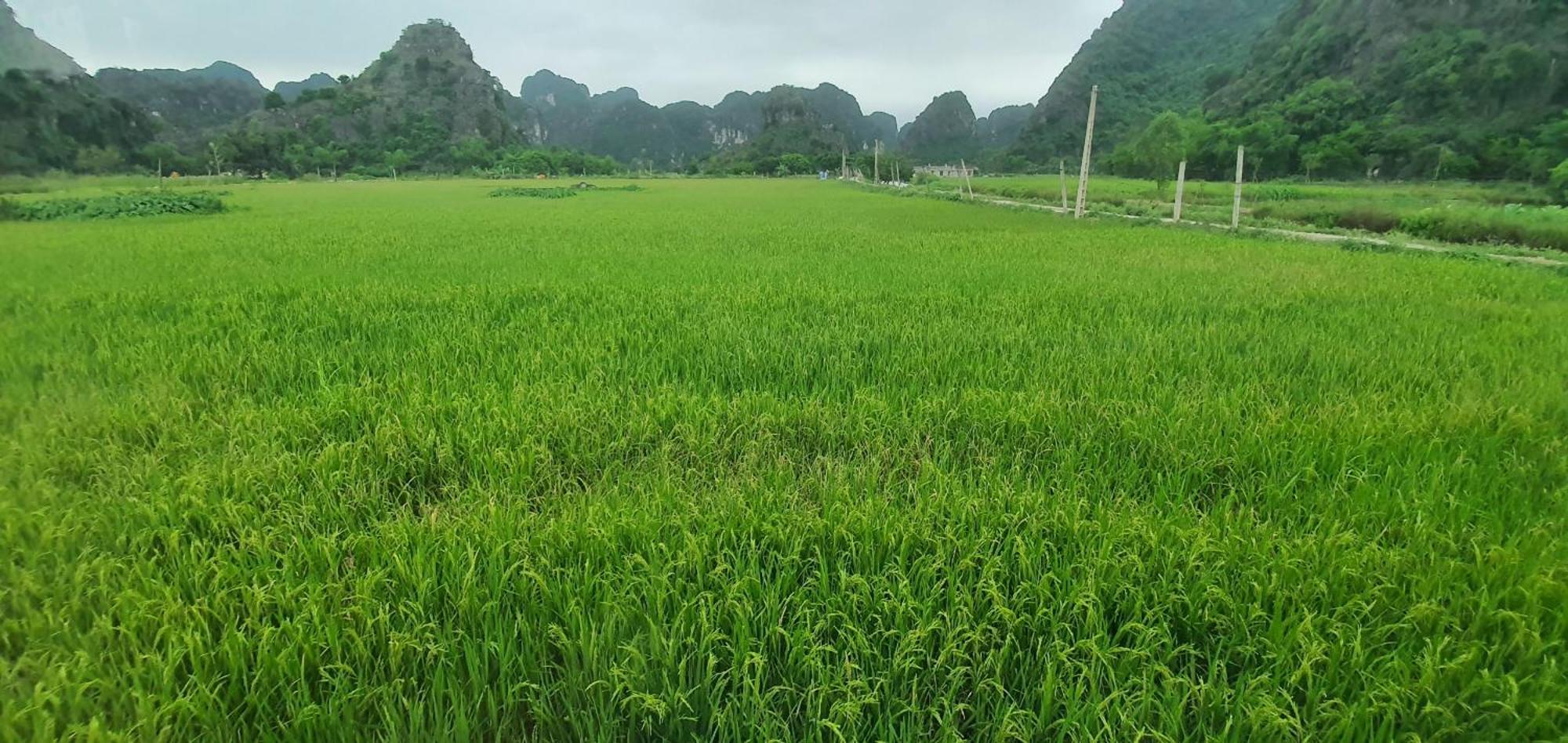 Trang An Moon Garden Homestay نينه بينه المظهر الخارجي الصورة